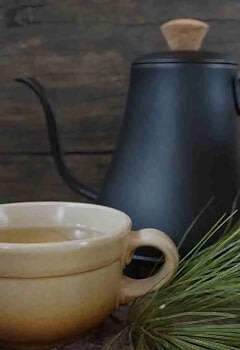 Çam İğnesi ÇayıTarifi Sağlığa Faydaları