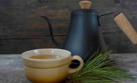 Çam İğnesi ÇayıTarifi Sağlığa Faydaları