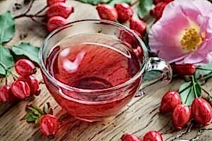 KUŞBURNU FAYDALARI – KUŞBURNU ÇAYI NASIL YAPILIR