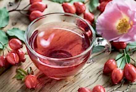 KUŞBURNU FAYDALARI – KUŞBURNU ÇAYI NASIL YAPILIR